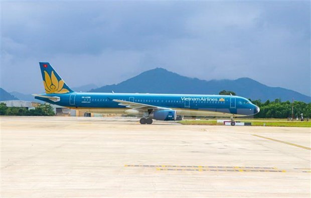 Solutions sought for struggling aviation sector to overcome Covid-19 impacts ảnh 1