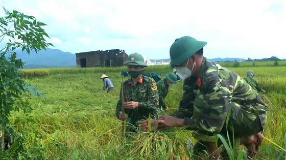 Central region prevents Typhoon Con Son amid Covid-19 pandemic ảnh 2