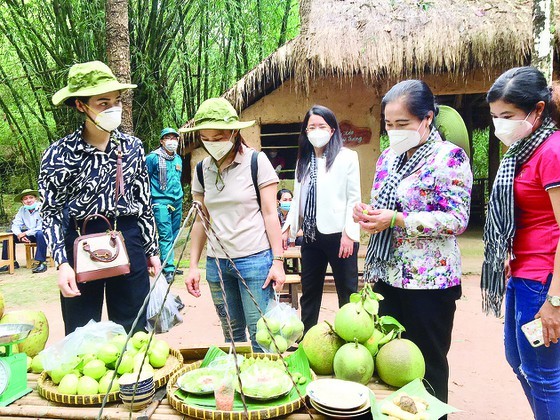 HCMC offers experimental tour visiting Can Gio, Cu Chi to frontline force ảnh 1
