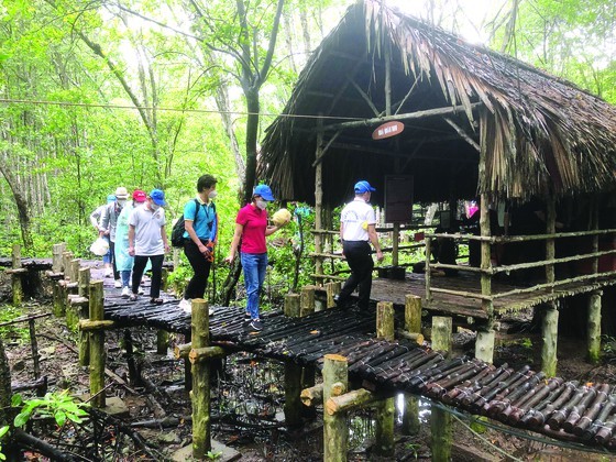 HCMC offers experimental tour visiting Can Gio, Cu Chi to frontline force ảnh 2