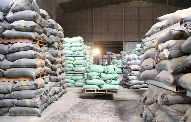 HCMC to receive 56,555 tons of rice from national reserve ảnh 1