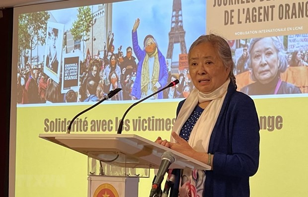 Ambassador hails Collectif Vietnam Dioxine’s support for AO/dioxin victims ảnh 1