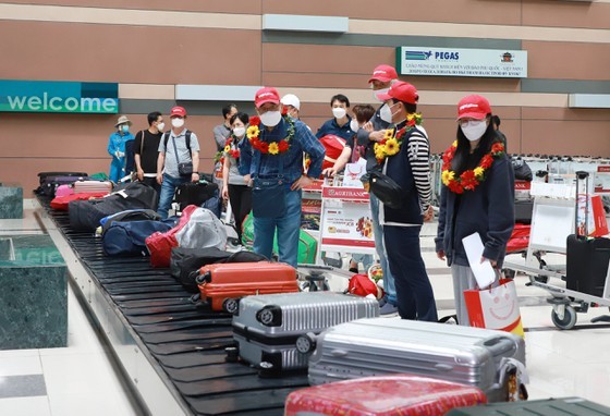 International arrivals to Vietnam increase in November ảnh 1