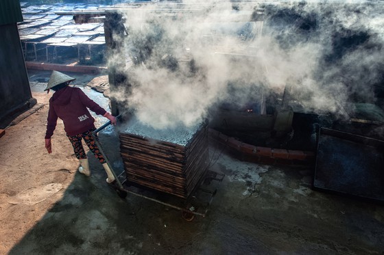 Fishing season of anchovy in Phu Yen ảnh 6