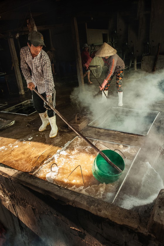 Fishing season of anchovy in Phu Yen ảnh 8