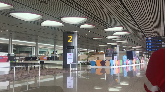 Commercial flights between Singapore, Vietnam resumed ảnh 1