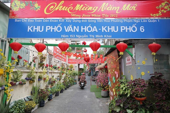 Tet comes around corner of HCMC ảnh 1