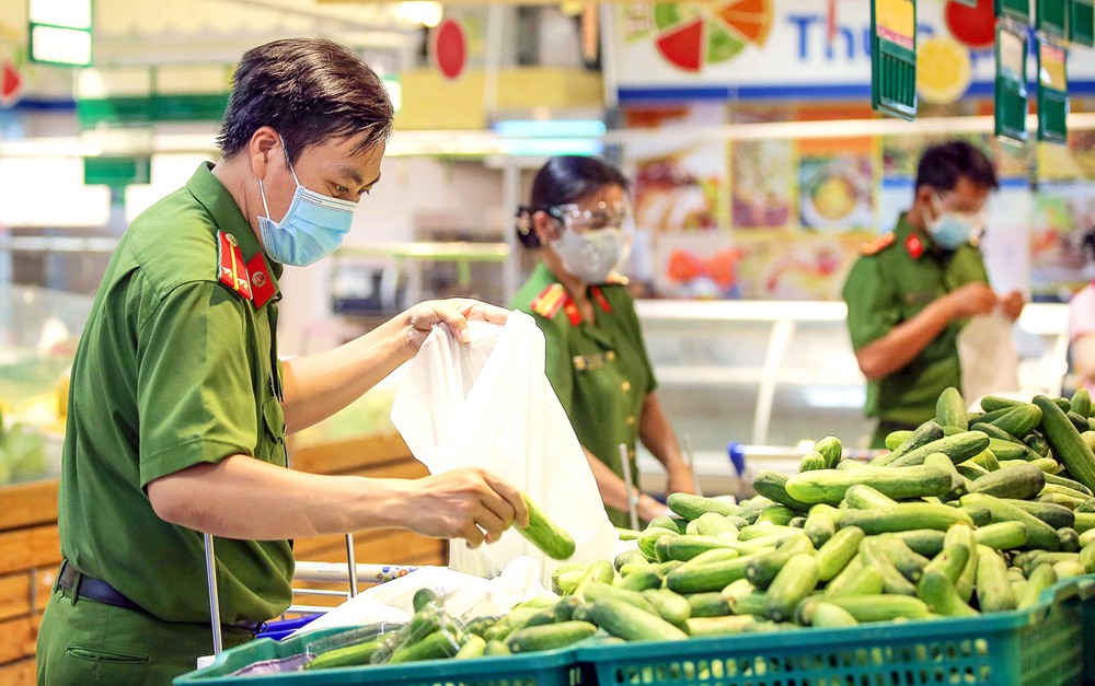 A New Year of hopes, expectations: HCMC Party Chief ảnh 3