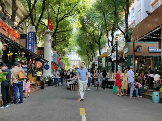 Second Trans-Viet Book Festival to be held in HCMC Book Street ảnh 1