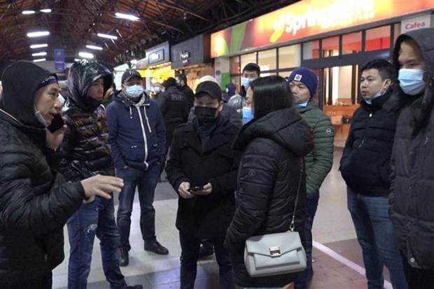 Some 800 Vietnamese people evacuated to Romania from Ukraine ảnh 1