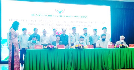Project to form areas of standard raw agricultural, forestry materials launched ảnh 1