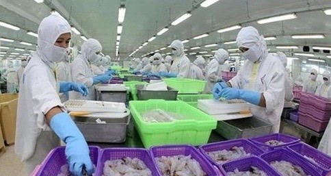 Agro-forestry-fisheries exports triple in H1 ảnh 1