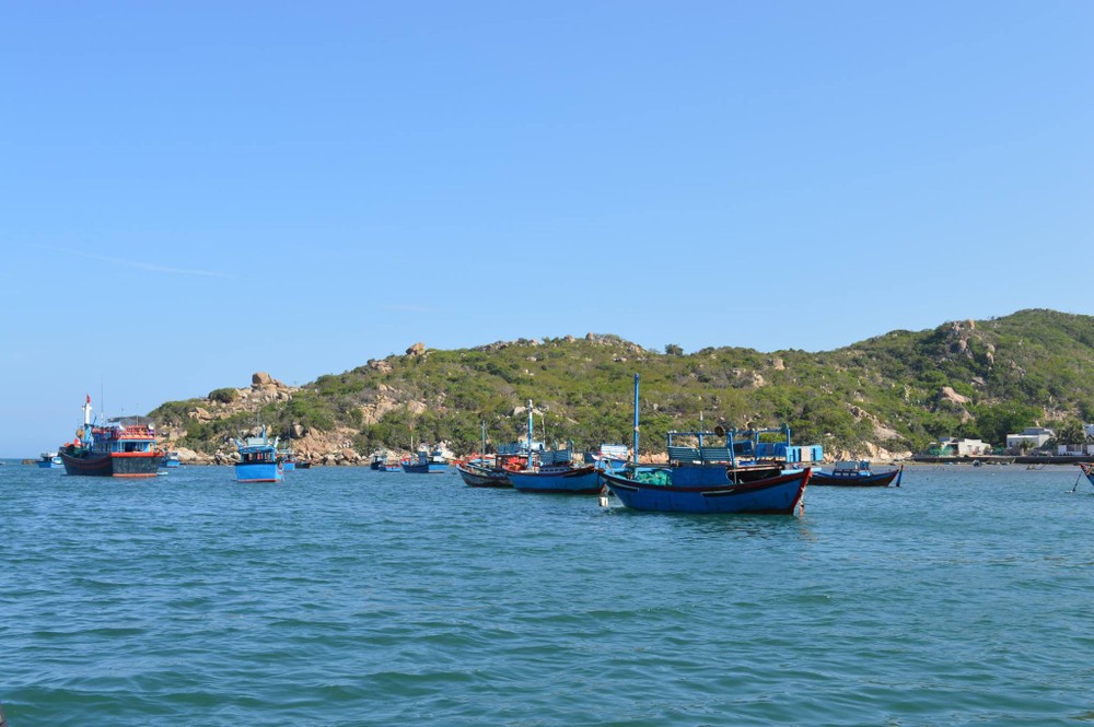 Ninh Thuan receives UNESCO certificate for Nui Chua National Park ảnh 6