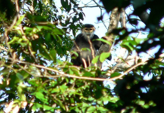 Ninh Thuan receives UNESCO certificate for Nui Chua National Park ảnh 4