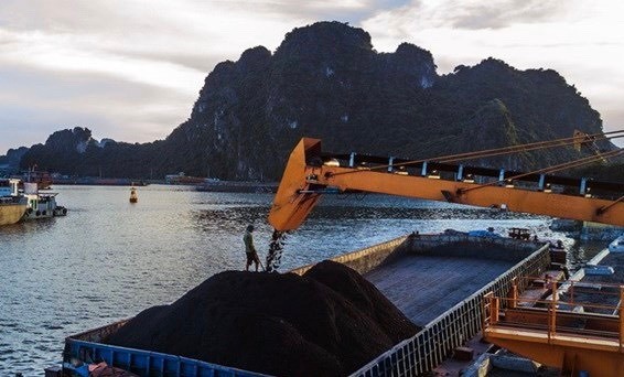 Coal shortages require Vietnam to diversify supply sources ảnh 2