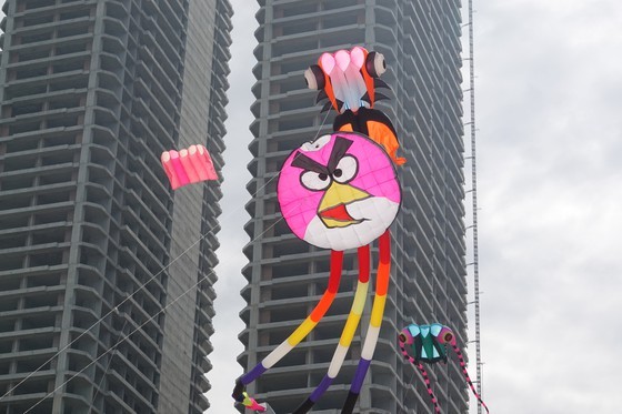 Colorful kites fill Da Nang sky on national holidays ảnh 3