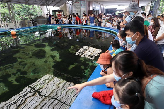 Tourists flock to Nha Trang, Da Lat for public holidays despite rain ảnh 4