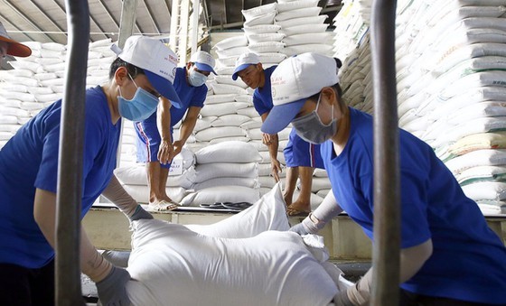 Vietnam to speed up rice export to ASEAN nations ảnh 1