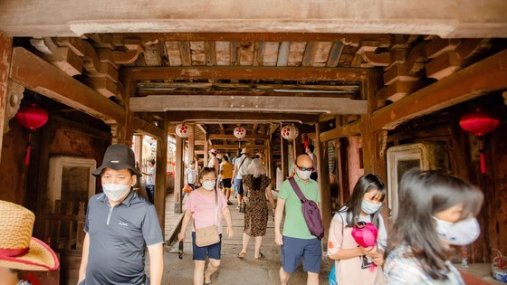 Tourism bounces back strongly ảnh 2