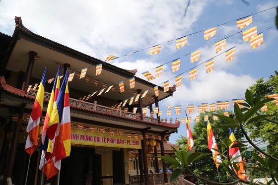 Week-long festival celebrating Buddha's birthday opens in Hue ảnh 25