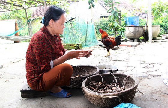 Community-based tourism at Go Co coastal village ảnh 4