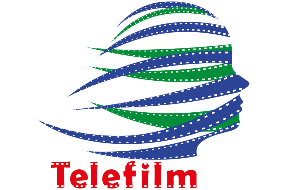 Telefilm 2022 returns to HCMC after two-year hiatus ảnh 1
