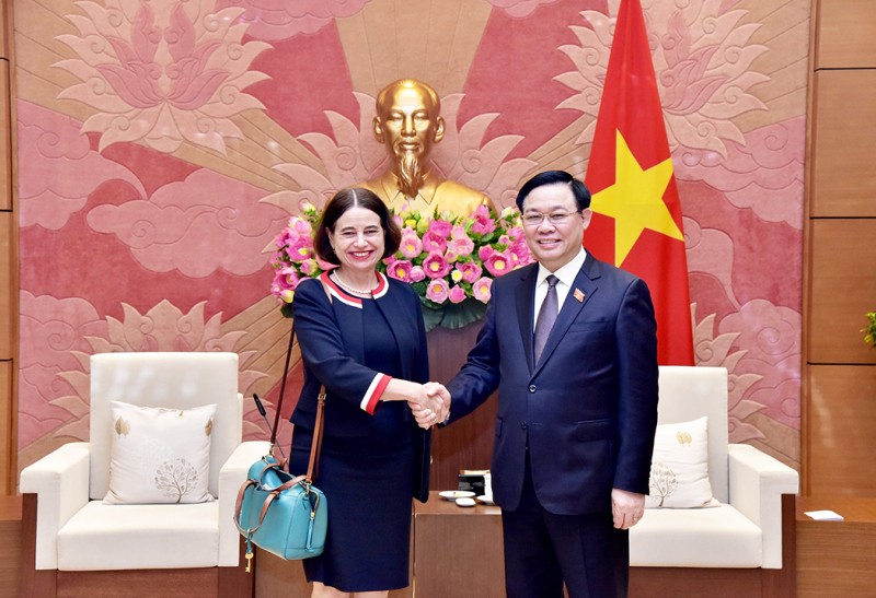 Climate change adaptation is one of main goals of Vietnam-Australia cooperation ảnh 1