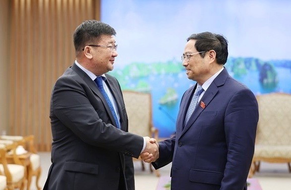 Prime Minister receives ambassadors of Egypt, Mongolia ảnh 2