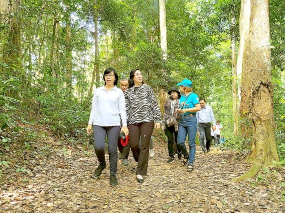 HCMC, Central Highlands localities boost tourism cooperation ảnh 1