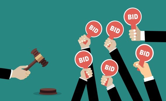 Amendments necessary in Law on Bidding ảnh 1