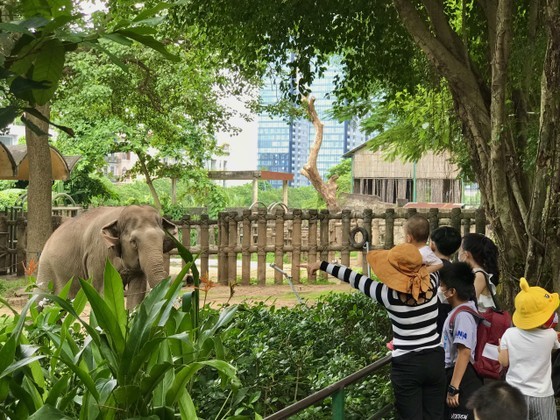 Sai Gon zoo receives over 45,000 visitors on national holidays ảnh 3