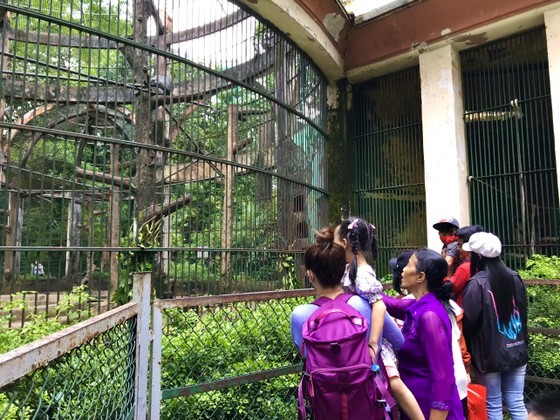 Sai Gon zoo receives over 45,000 visitors on national holidays ảnh 6