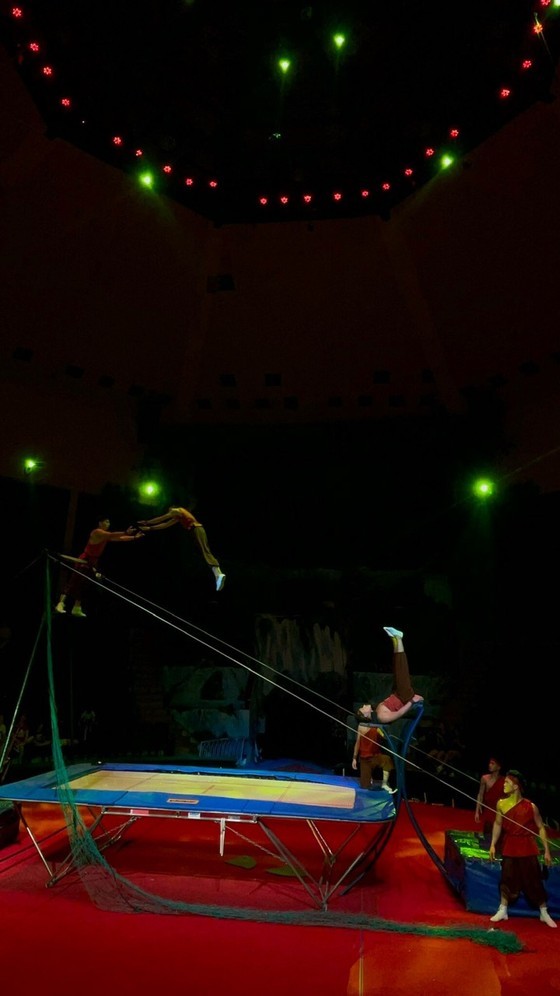 Circus, music drama for children to be held in HCMC ảnh 3