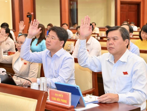 HCMC People’s Council passes 10 important resolutions ảnh 1
