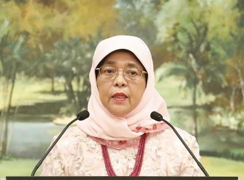 Singaporean President’s visit to boost bilateral multifaceted ties ảnh 1