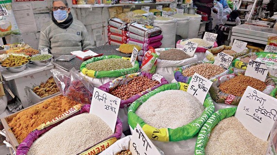 Restructuring plan must mobilize household businesses ảnh 1