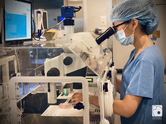 Charity program to offer free IVF treatment for 80 infertile couples ảnh 1