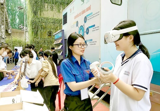 HCMC organizes various activities marking Vietnam Cultural Heritage Day ảnh 1