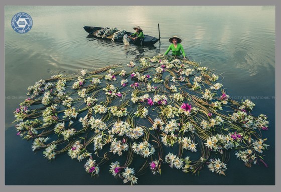 HCMC’s first Int’l Photography Festival 2022 to open next week ảnh 1