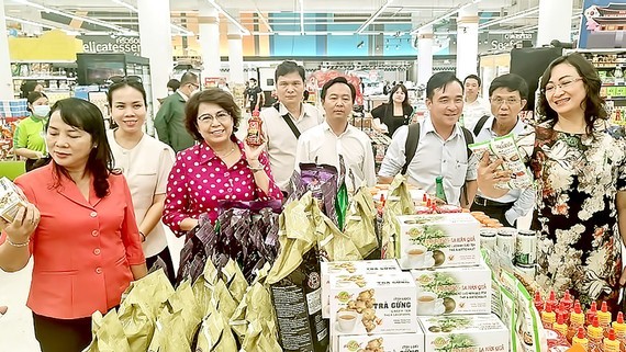 HCMC, Thailand’ enterprises join exchange on investment, supermarket business ảnh 1