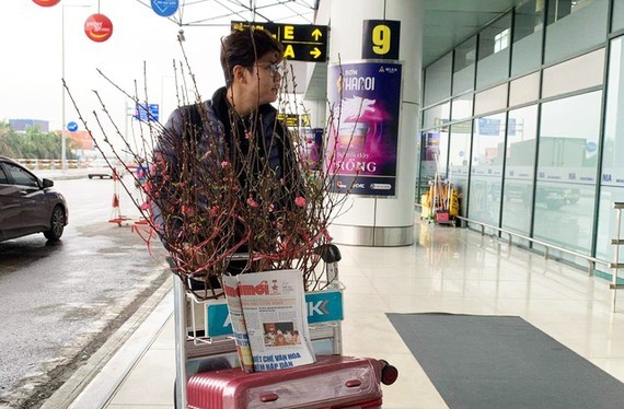 Local carriers to start transport service of apricot, peach blossoms for Tet ảnh 1