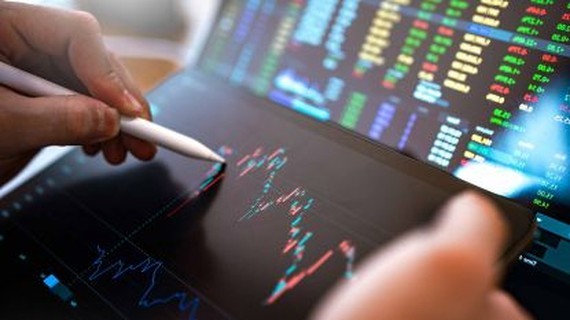 Stocks gradually stabilize after intervention ảnh 1