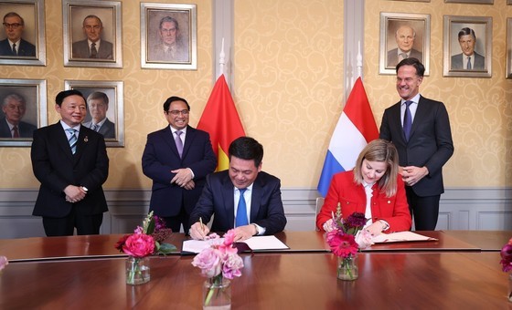 PM affirms resolve to promote comprehensive partnership with Netherlands ảnh 2