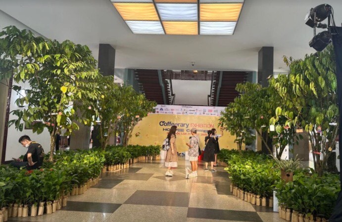 Coffee lovers have an opportunity to enjoy a garden of more than 2,000 coffee trees which were brought from plantations in the Central Highlands province of Lam Dong at the first Coffeerary Exhibition 2022. (Photo: SGGP)