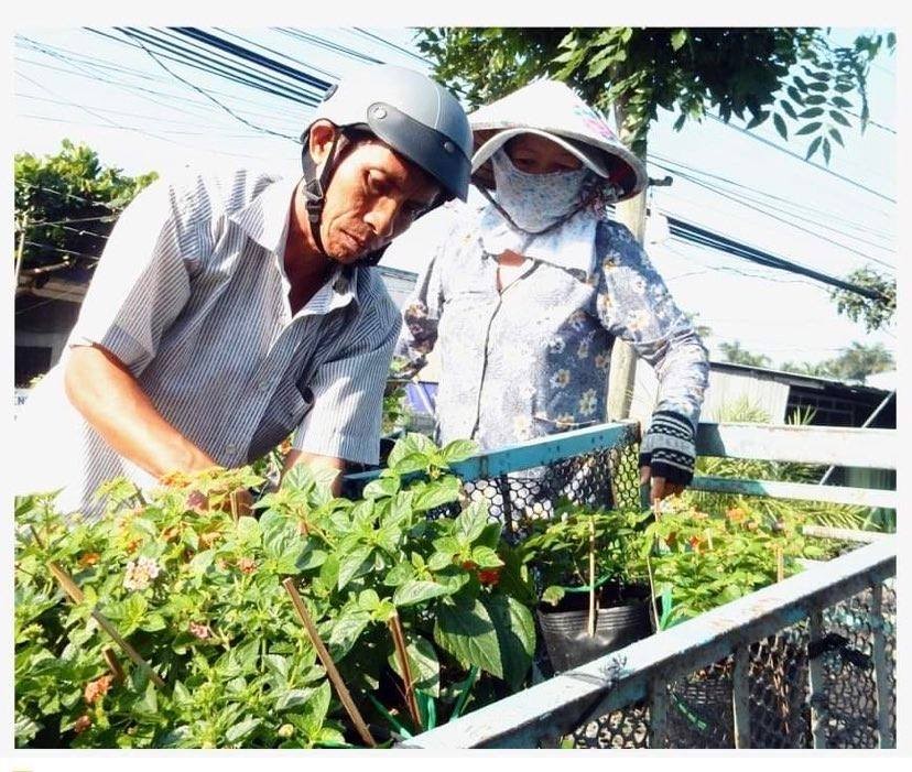 Flower growers transport their products to markets in neighboring cities and provinces.