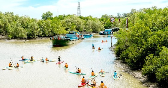 Visitors participate in a stand-up paddle (SUP) tour crossing a mangrove forest in Can Gio District. (Photo:SGGP)