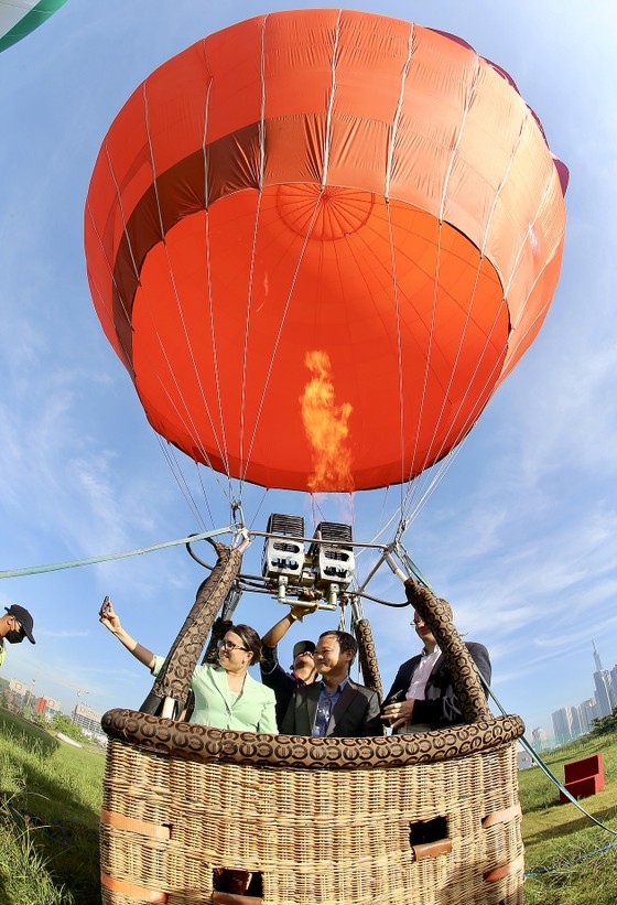 Hot air balloon festival in HCMC (Photo: SGGP)