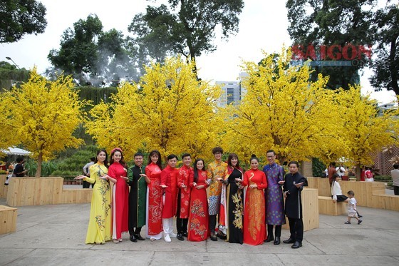 A garden of more than 100 yellow apricot trees in the festival (Photo: SGGP)