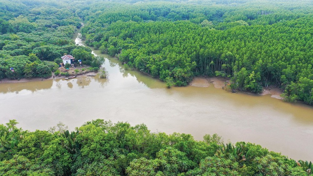 Can Gio international transshipment port located nearby the buffer zones of the Can Gio Biosphere Reserve in HCMC, will not penetrate the boundary of the biosphere. (Photo: SGGP)