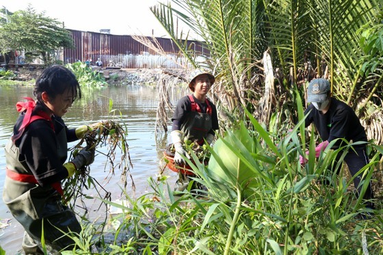The program focuses on environmental protection activities, such as cleaning up polluted canals and residential areas. (Photo: SGGP)